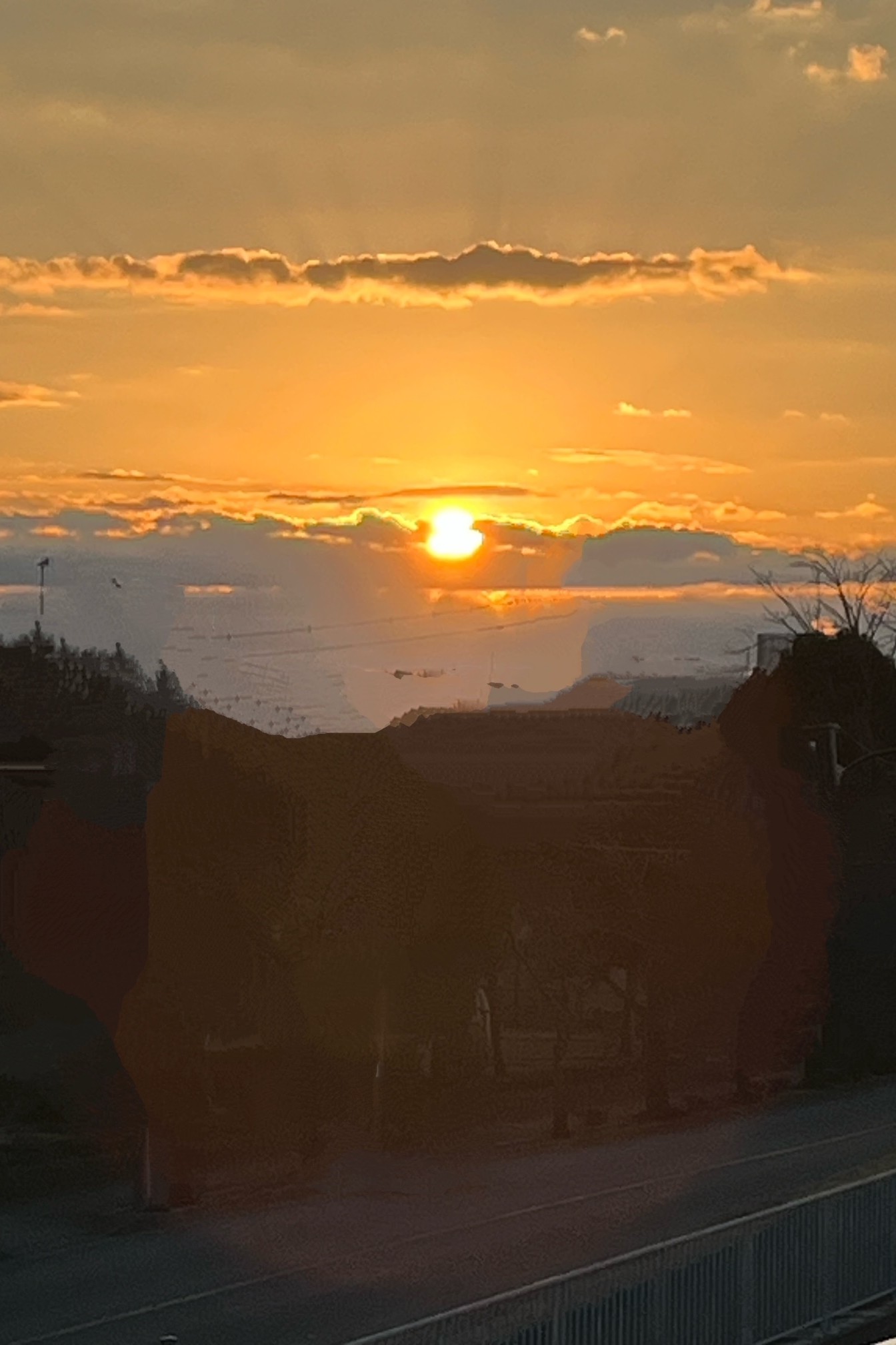 今年もよろしくお願いします